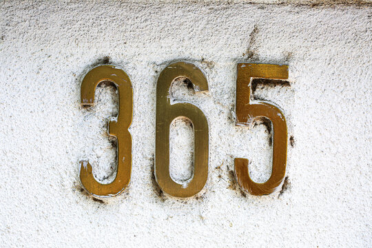 Close-up of metallic house number 365 mounted on a textured white wall. The aged gold digits show signs of wear, offering a rustic and urban aesthetic suitable for design and architecture themes