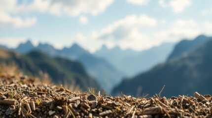 A close up view of gravel and small sticks with mountains in the blurry distance