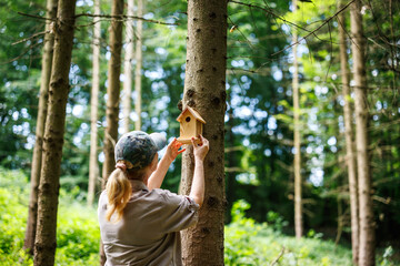 Woman ornithologist attaching handmade birdhouse to tree in forest environment for nesting and bird conservation