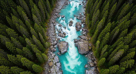 Aerial view of a vibrant turquoise river flowing through a dense evergreen forest with rocky banks and white water rapids.