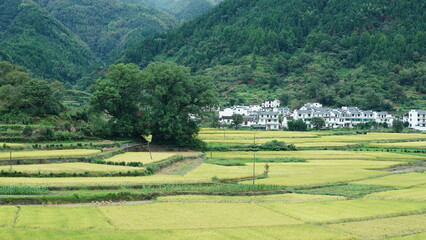 The beautiful mountains landscapes with the green forest and little village as background in the countryside of the China