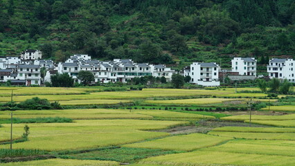 The beautiful mountains landscapes with the green forest and little village as background in the countryside of the China