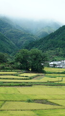 The beautiful mountains landscapes with the green forest and little village as background in the countryside of the China