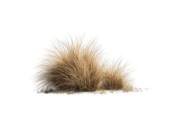 A cluster of light brown and tan fur or hair, spiky and layered