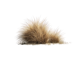 A cluster of light brown and tan fur or hair, spiky and layered