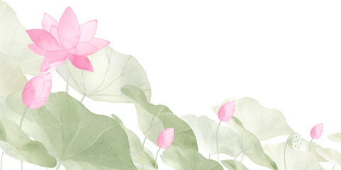 水彩で描いた蓮の花のイラスト3