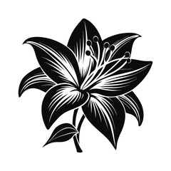Elegant detailed silhouette of a lily flower