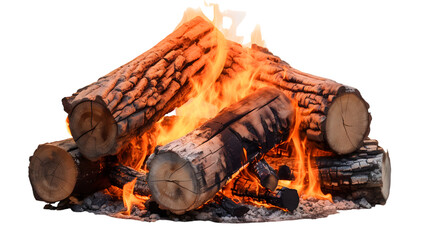 Cozy Campfire: A close-up shot capturing the mesmerizing dance of flames that envelops a pile of wooden logs, as embers glow and crackle within, evoking warmth and comfort.