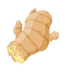 Ginger root. Aromatic herbal spice. Food ingredient, natural herb plant, sliced. Fresh and raw vegetable in cartoon flat style. Vector illustration isolated on white background
