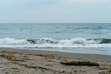 sea waves and beach