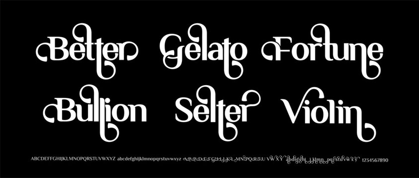 All Variation Elegant Serif Font Uppercase Lowercase and number. Modern Serif. vector illustration