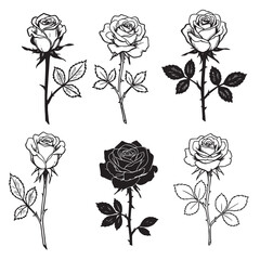 Hand drawn rose flower collection in various styles perfect for design elements