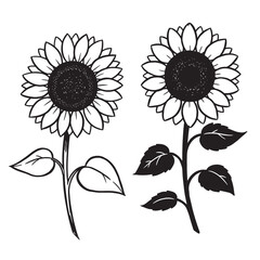 Fototapeta premium Vector illustration of two black and white sunflowers featuring outlined petals and detailed centers