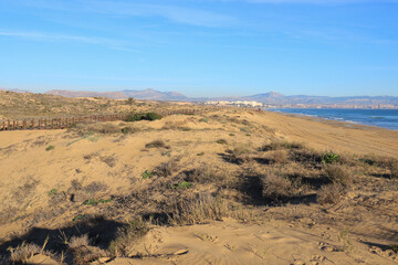 Arenales del Sol beach in the morning in summer