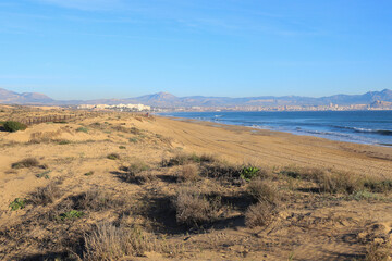 Arenales del Sol beach in the morning in summer