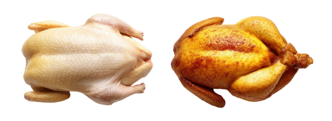 Raw and roasted chicken