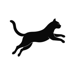 Black Cat in Mid-Air Silhouette