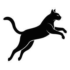 Black Cat in Mid-Air Silhouette