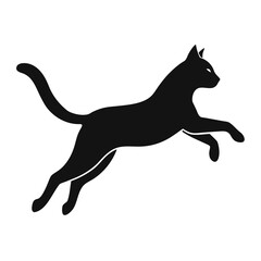Black Cat in Mid-Air Silhouette