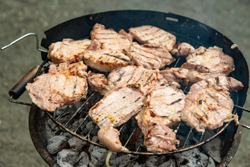Grilled meat steak on stainless grill depot with flames on dark background. Food and cuisine concept.