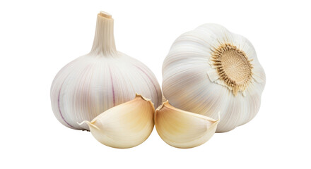 Isolated Garlic