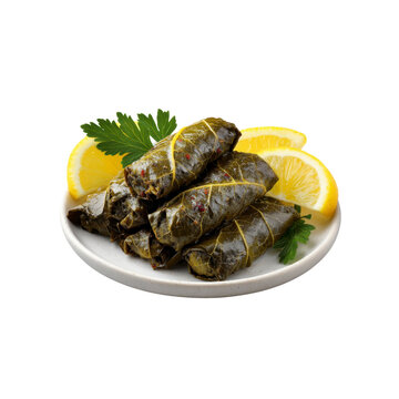 Delicious Stuffed Grape Leaves with Lemon Garnish on a Plate