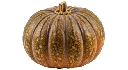 Isolated Pumpkin