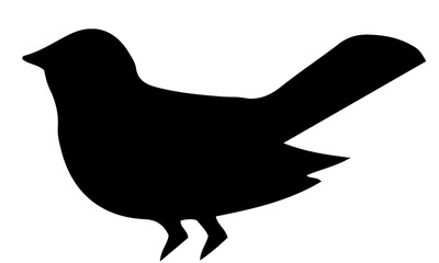 Black bird silhouette in unique resting position