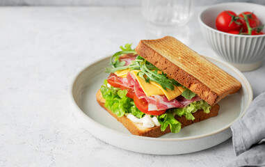Toast club sandwich with bacon, cheese, tomatoes, lettuce, arugula and sauce in a plate on a light background