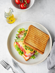 Toast club sandwich with bacon, cheese, tomatoes, lettuce, arugula and sauce in a plate on a light background