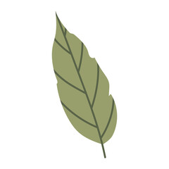 Green leaf icon. Leaf of tree or other plant. Autumn leaves. Autumn decoration in flat style. 