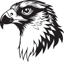 Majestic Eagle Portrait: A captivating close-up of a powerful eagle head, rendered in a stark, striking black and white, the gaze piercing and resolute.