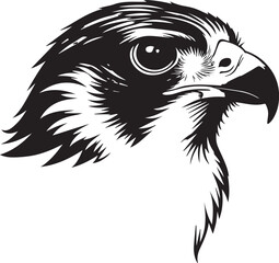 The Majesty of a Falcon: A striking monochrome illustration showcases the powerful gaze of a falcon, its sharp features rendered with precision and artistry.