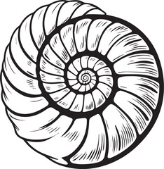 Obraz premium Elegant Shell: A captivating monochrome rendering of a nautilus shell, showcasing its intricate spiral form and natural elegance.