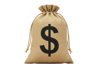 Money bag with dollar sign vector illustration isolated on transparent background