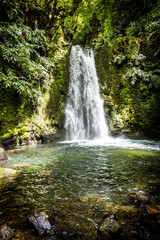 Vertical View of Jungle Waterfall in São Miguel