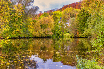 Gorgeous view of lake and autumn forest park, shadow reflecting on water surface.