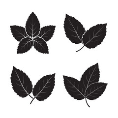 mint branch with leaves silhouette set bundle