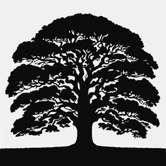 Fototapeta premium Solid silhouette of a large oak tree with wide canopy, black fill on white
