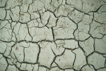 A detailed closeup image revealing the intricate cracks on a concrete surface