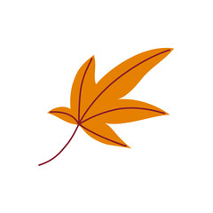 Bright orange maple leaf in the wind on a white background. Hand drawn vector illustration for autumn designs.