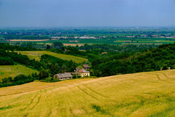 Rural landscape near Casale Monferrato and Ozzano, Alessandria province, Italy