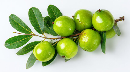Obraz premium A bunch of green jujube fruits with leaves on a white background, with copy space. The fresh, organic plant food is healthy and natural for eating or making juice.