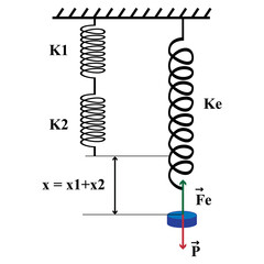 Vector illustration of a diagram showing how the combination of two springs in series works for the study of physics.