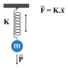 Vector illustration of a diagram showing the elastic force of a spring for physics study.