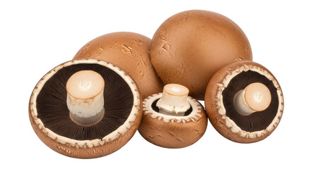 Isolated Champignon Mushrooms
