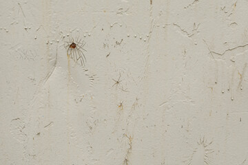 Grunge background texture.  Old, damaged paint on metal.  Perfect for industrial design.