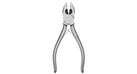 Isolated Metal Pliers