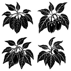Obraz premium Illustration of four pepper plants with leaves and peppers in a black and white monochrome style art