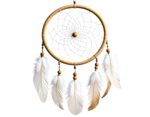 Hanging indoor dreamcatcher with feathers and beads, isolated on a transparent background